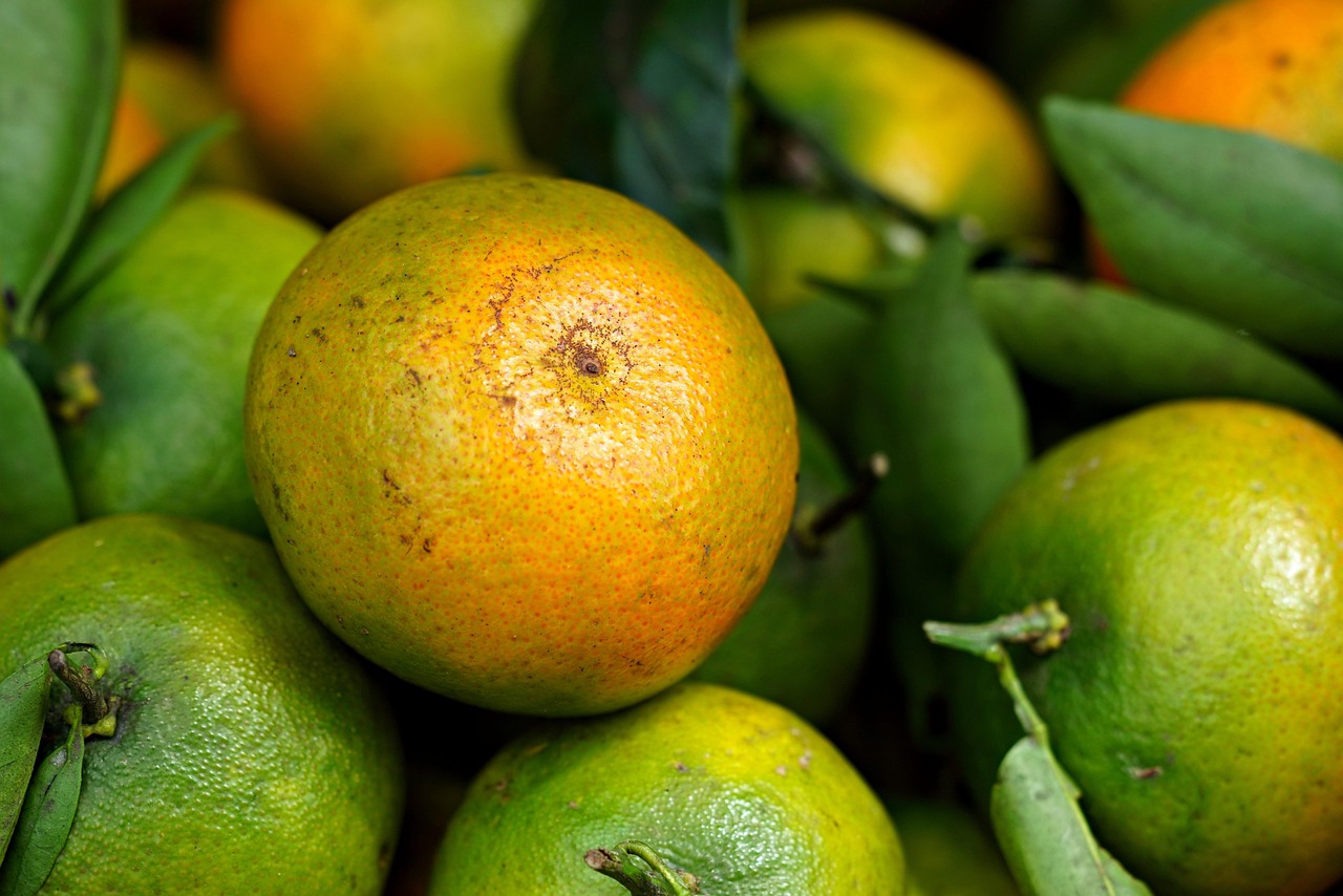 Consultation en nutrition intégrative à Morges